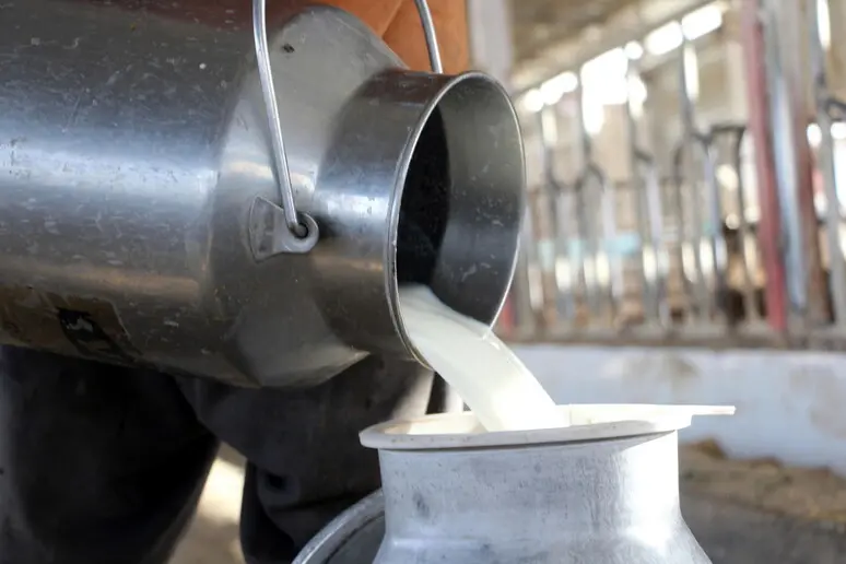 Latte crudo: 43 casi di Seu nei bambini nel 2025 in Italia