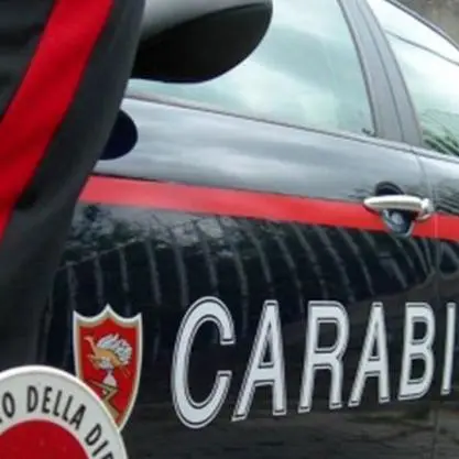Serra di marijuana in casa: tre arresti sull'Altopiano Cimbro