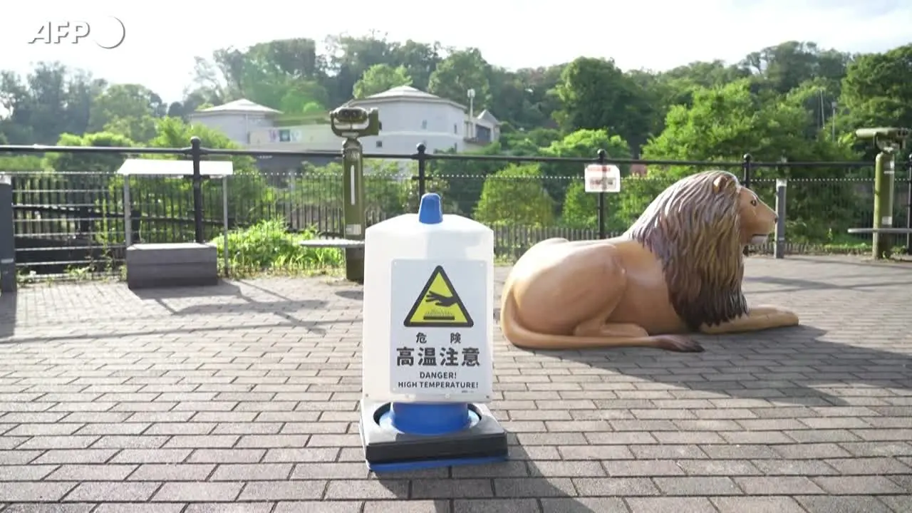 Caldo record a Tokyo, morti tre leoni dello zoo di Tama