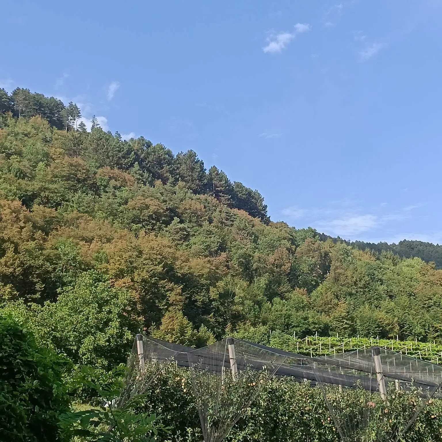 Trentino verso una nuova ondata di caldo: punte di 37 gradi. Le previsioni per i prossimi giorni