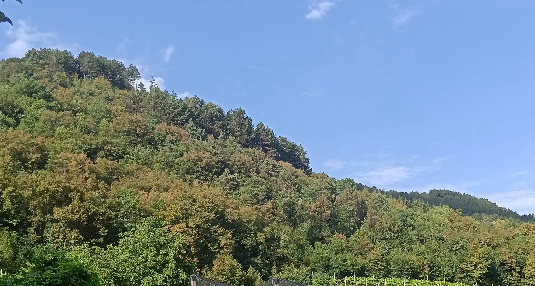 Trentino verso una nuova ondata di caldo: punte di 37 gradi. Le previsioni per i prossimi giorni