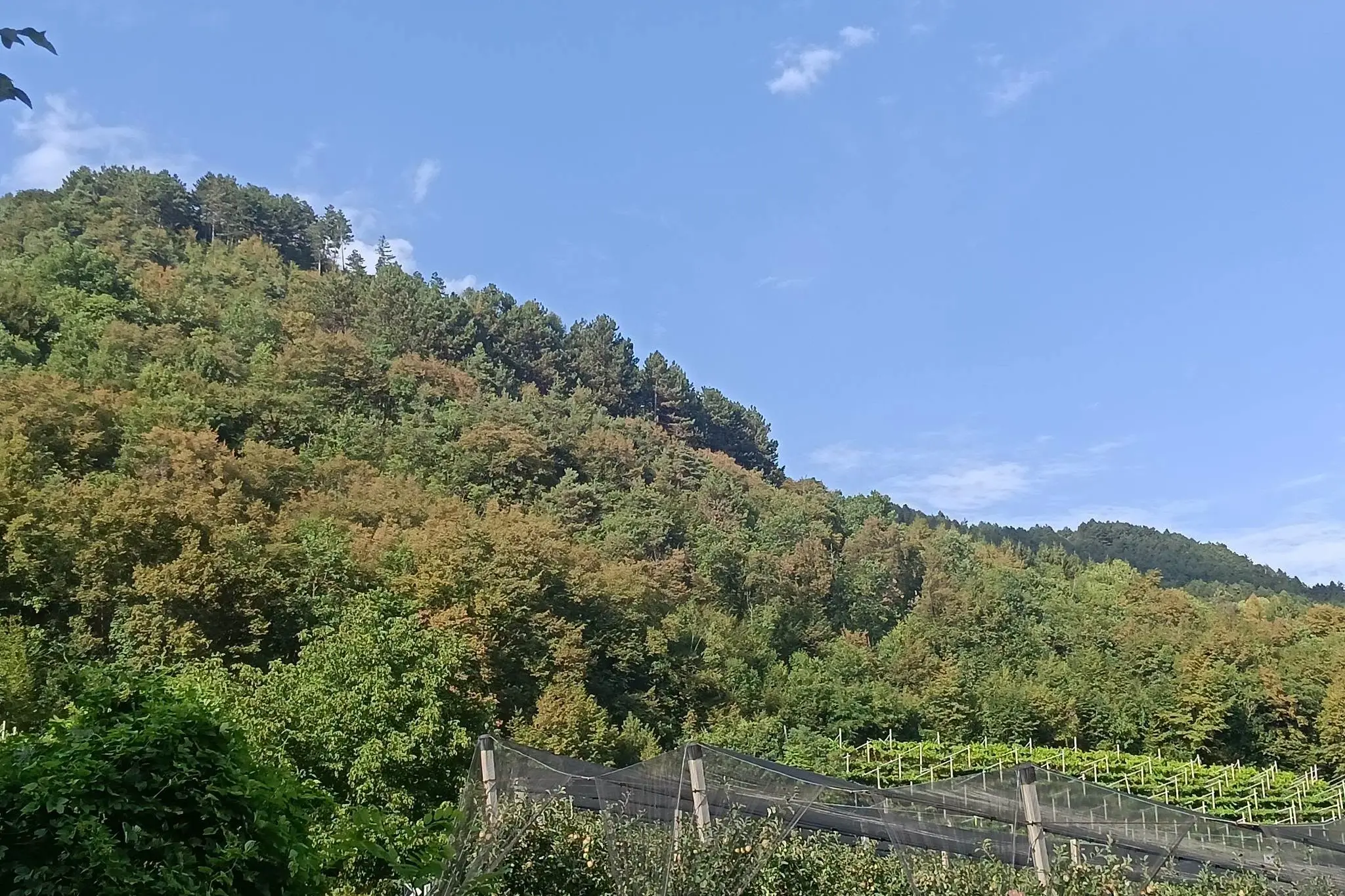 Trentino verso una nuova ondata di caldo: punte di 37 gradi. Le previsioni per i prossimi giorni