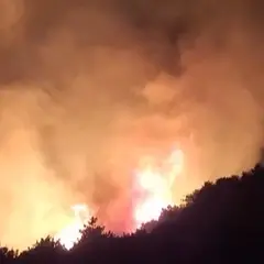 Lago di Garda, incendio nei boschi di Tignale: evacuati turisti e un residence