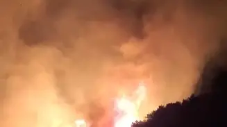 Lago di Garda, incendio nei boschi di Tignale: evacuati turisti e un residence
