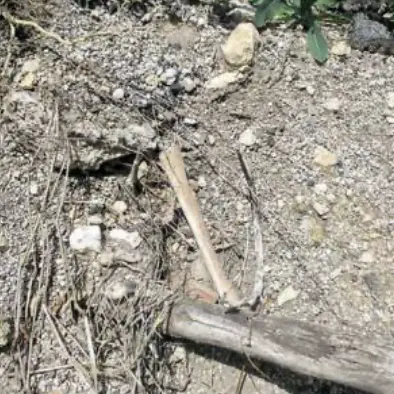 Brentonico, ossa umane spuntano dalla terra nelle ex cave