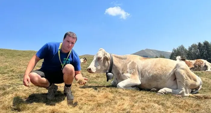 Caldo e siccità, allarme negli allevamenti: «Pascoli bruciati, danni fino al 60%»