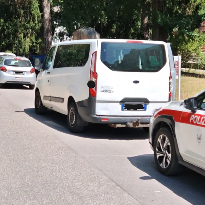 Pergine, tre cuccioli chiusi nel furgone sotto il sole: multata la proprietaria