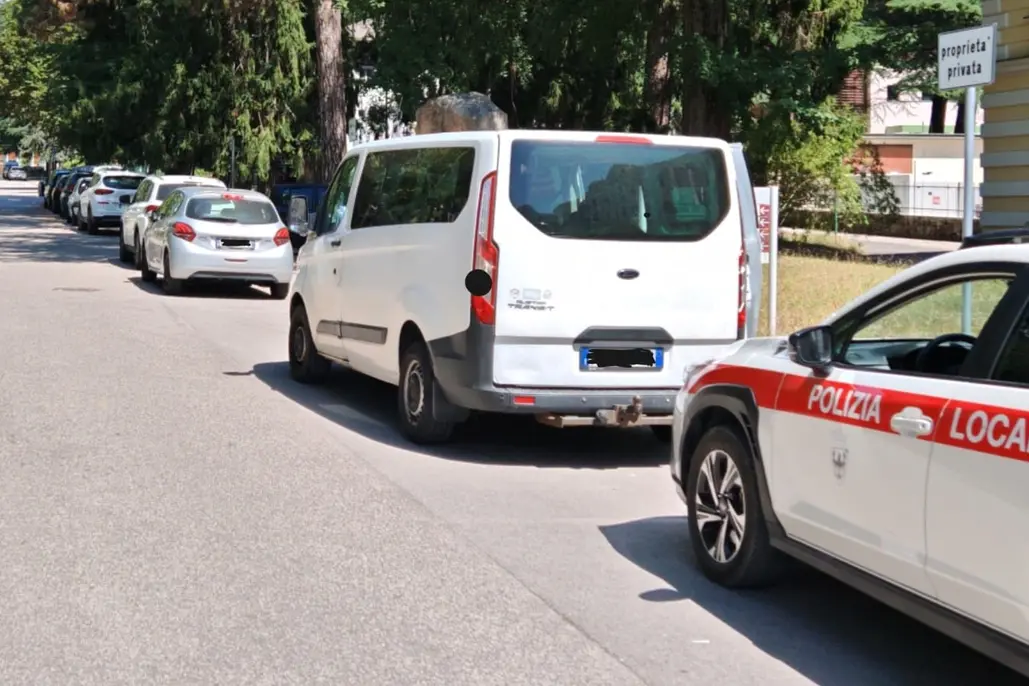 Pergine, tre cuccioli chiusi nel furgone sotto il sole: multata la proprietaria