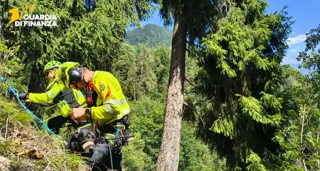 Escursionista deceduto a Tirolo, salvata la sua cagnolina