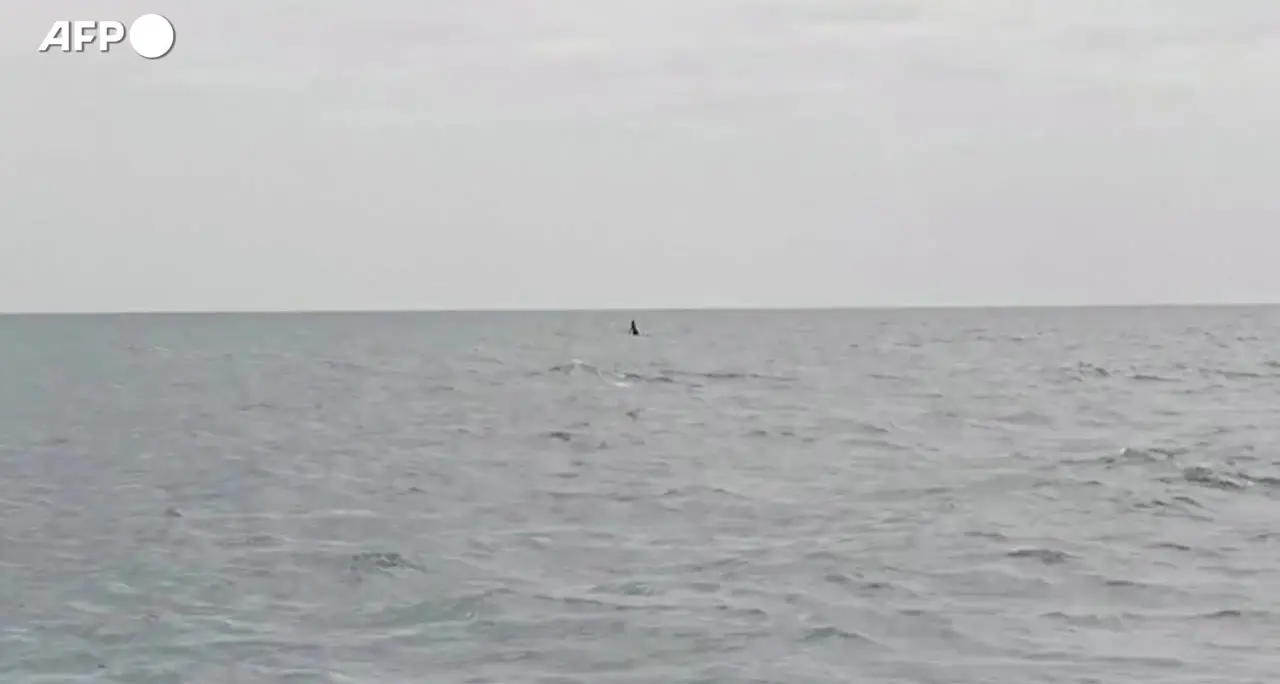 Thailandia, famiglia francese salvata dopo 16 ore alla deriva al largo di un'isola