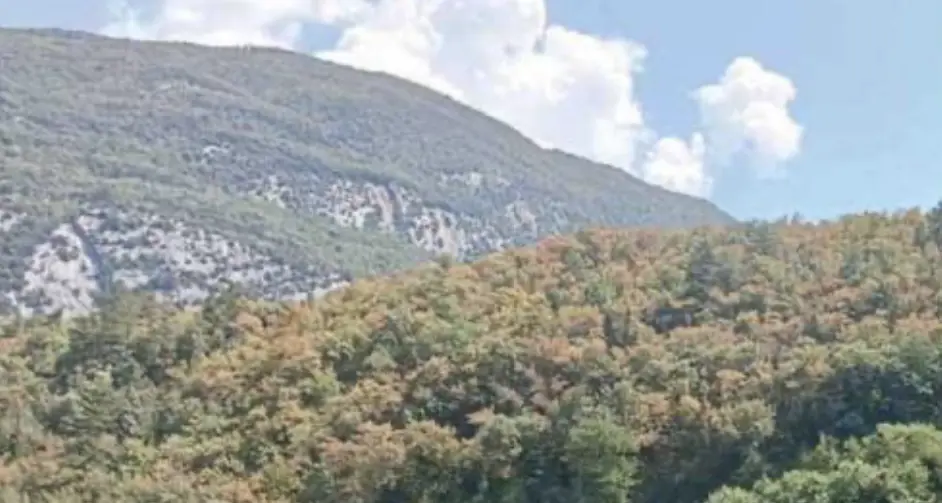 Il caldo brucia i boschi, alberi gialli come in autunno