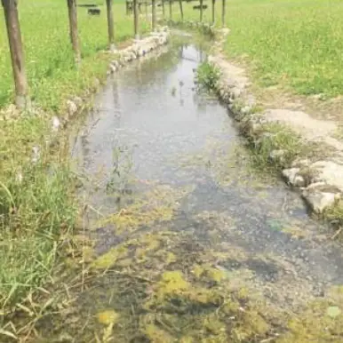 Rovereto, il percorso Kneipp è una palude: «Abbandonato da anni»
