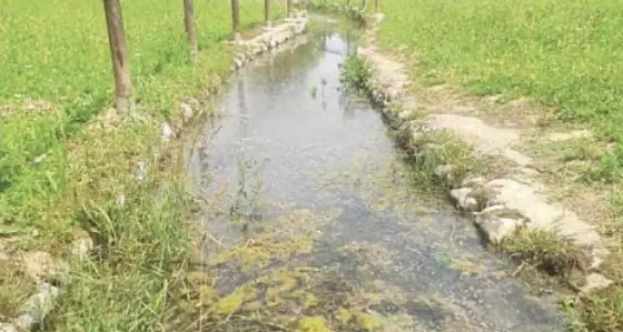 Rovereto, il percorso Kneipp è una palude: «Abbandonato da anni»