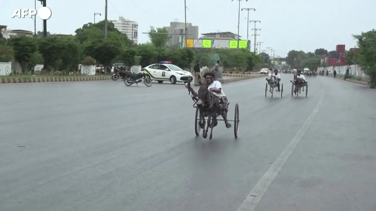 Gare di asini al galoppo per le strade di Karachi. Animalisti animali a rischi di lesioni ed esaurimento