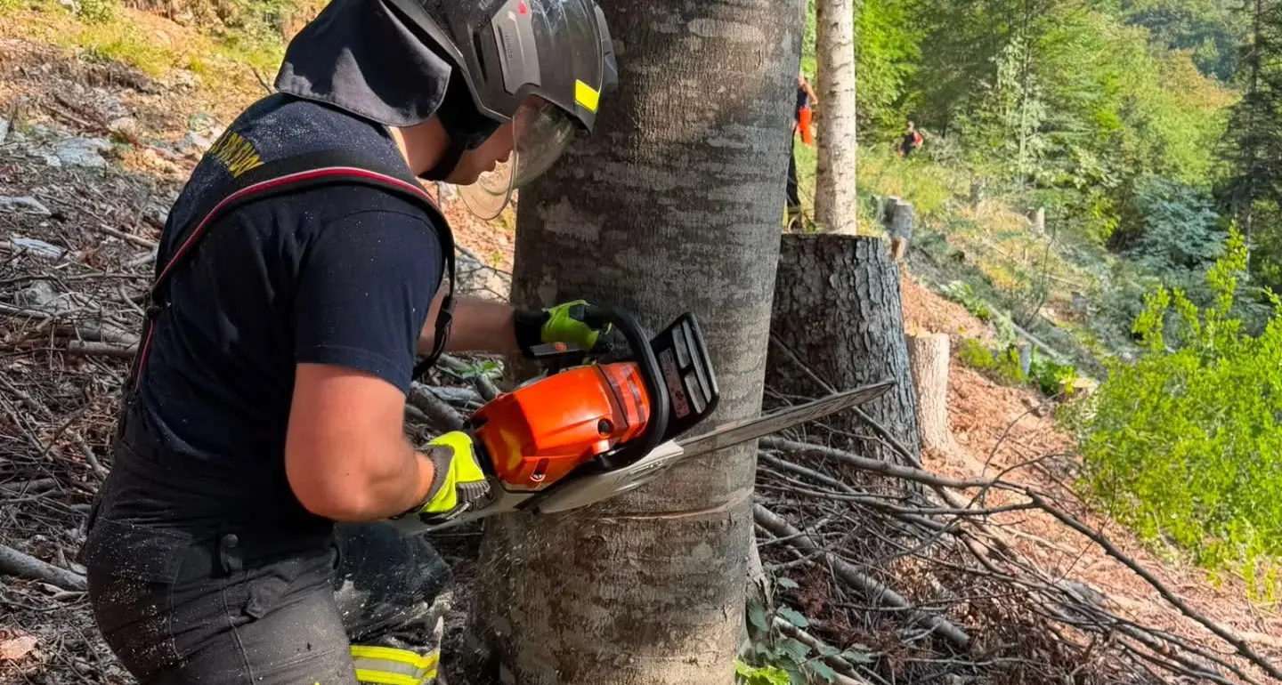 Spormaggiore, vigili del fuoco in prima linea contro l’incendio