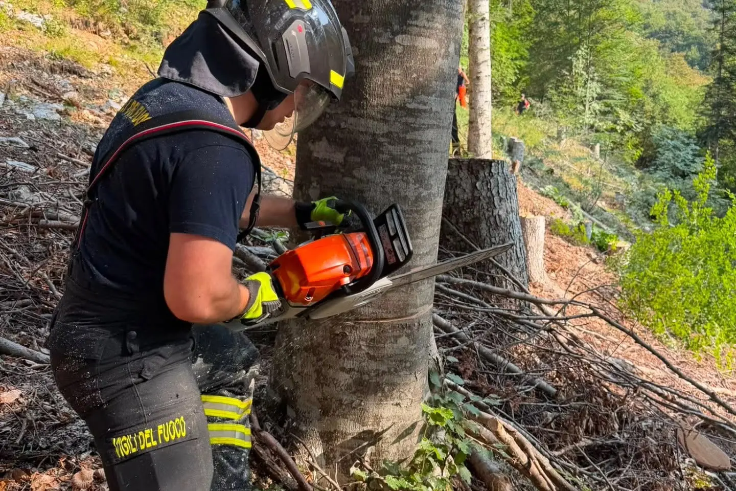 Spormaggiore, vigili del fuoco di Roverè della Luna in prima linea contro l’incendio