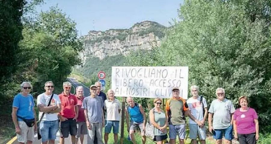 Gli olivocoltori contro la nuova ciclabile