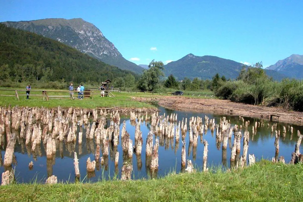 Palafitte di Fiavé, ripartono le ricerche archeologiche nella torbiera