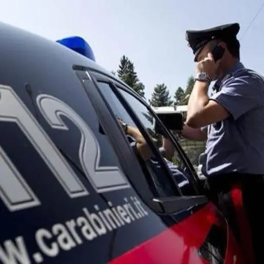 Controlli di Ferragosto, denunce e sequestri tra Cles e la Val di Sole