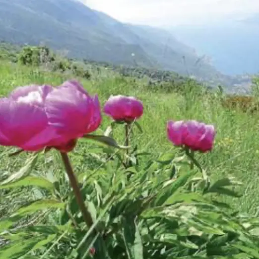 Monte Baldo patrimonio Unesco, arriva il sostegno del ministro del Turismo