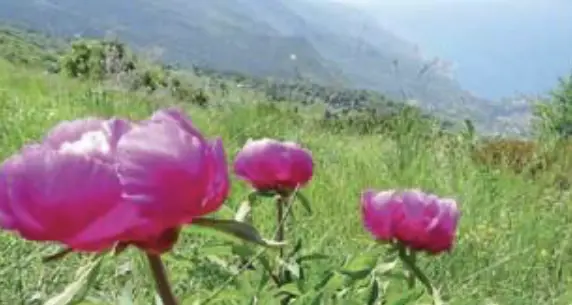 Monte Baldo patrimonio Unesco, arriva il sostegno del ministro del Turismo