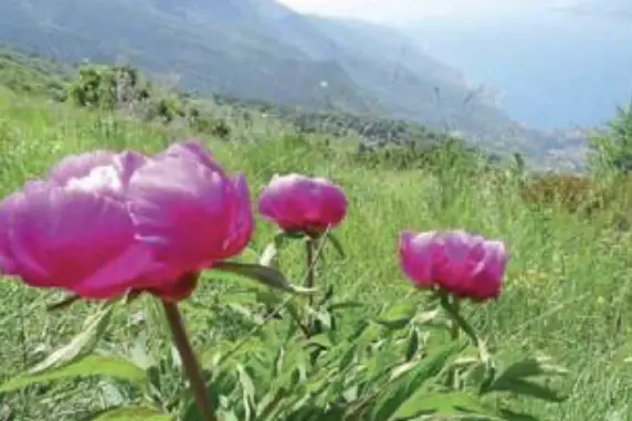 Monte Baldo patrimonio Unesco, arriva il sostegno del ministro del Turismo