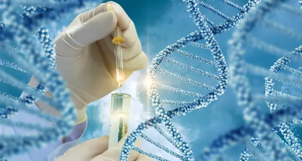 Identificato tramite Dna l'alpinista altoatesino scomparso 35 anni fa