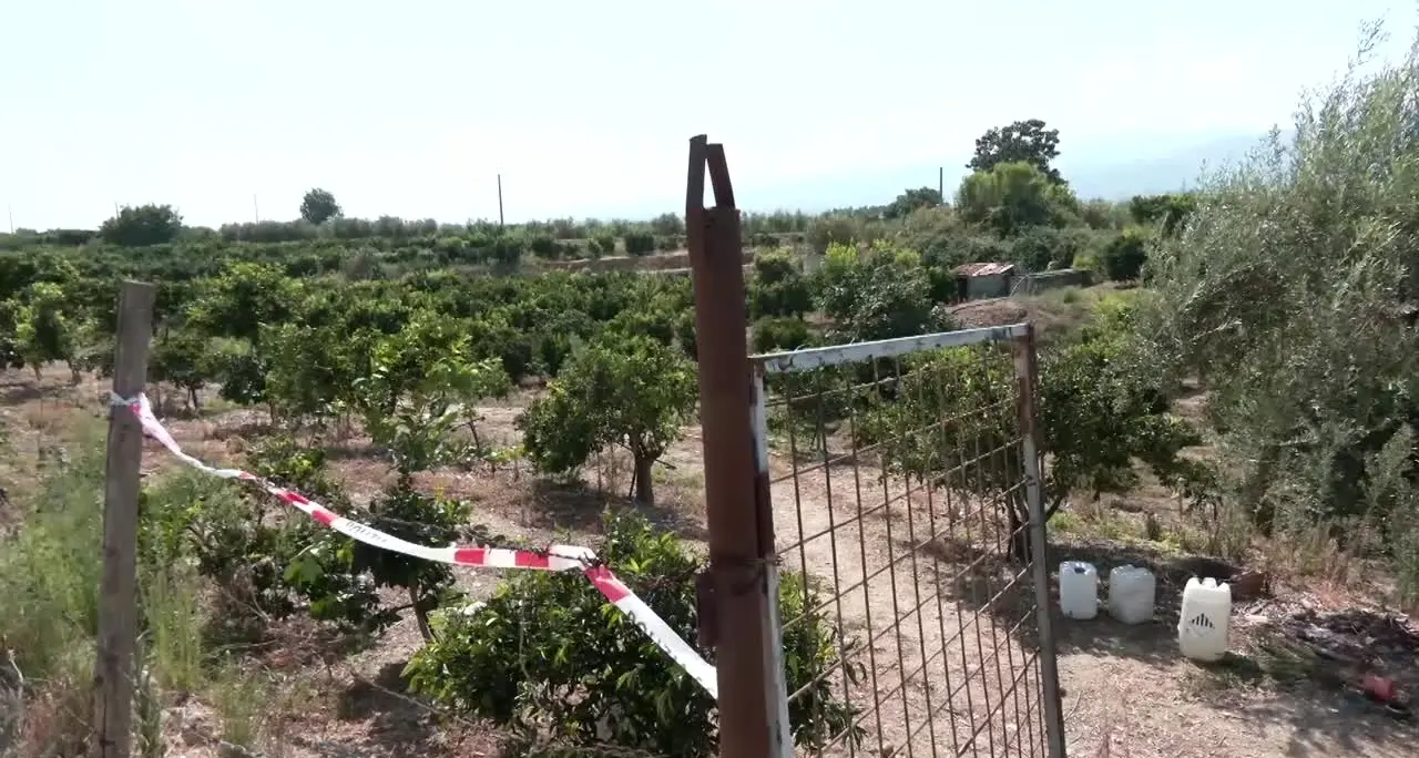 Anziana uccisa a colpi di pietra nel Cosentino, fermato il marito
