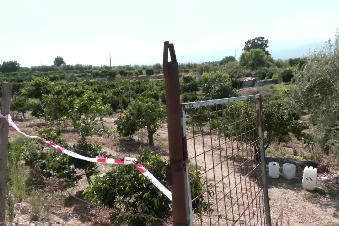 Anziana uccisa a colpi di pietra nel Cosentino, fermato il marito