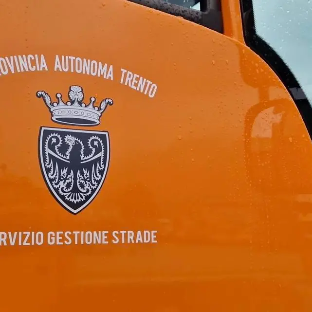 Maltempo sulle strade del Trentino: frana a Capriana, piante cadute a Riva