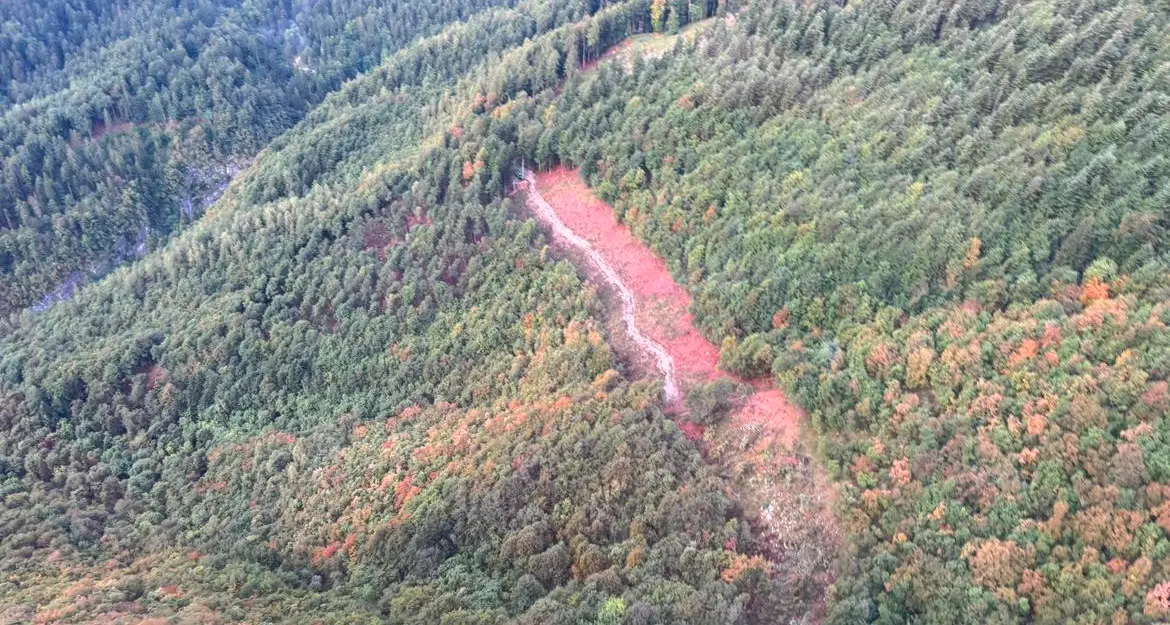 Bedolè, il rogo è sotto controllo. Fugatti in val Genova dopo la colata di detriti