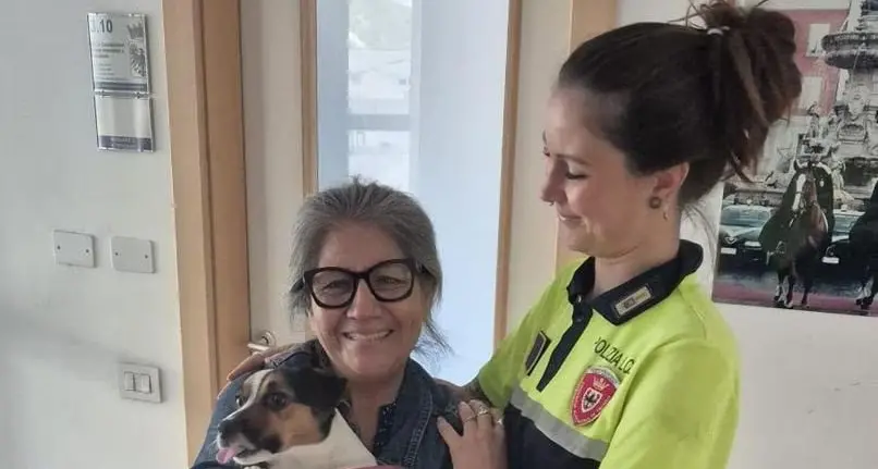 Trento, investito mentre passeggia col cane: il Jack Russell fugge lontano