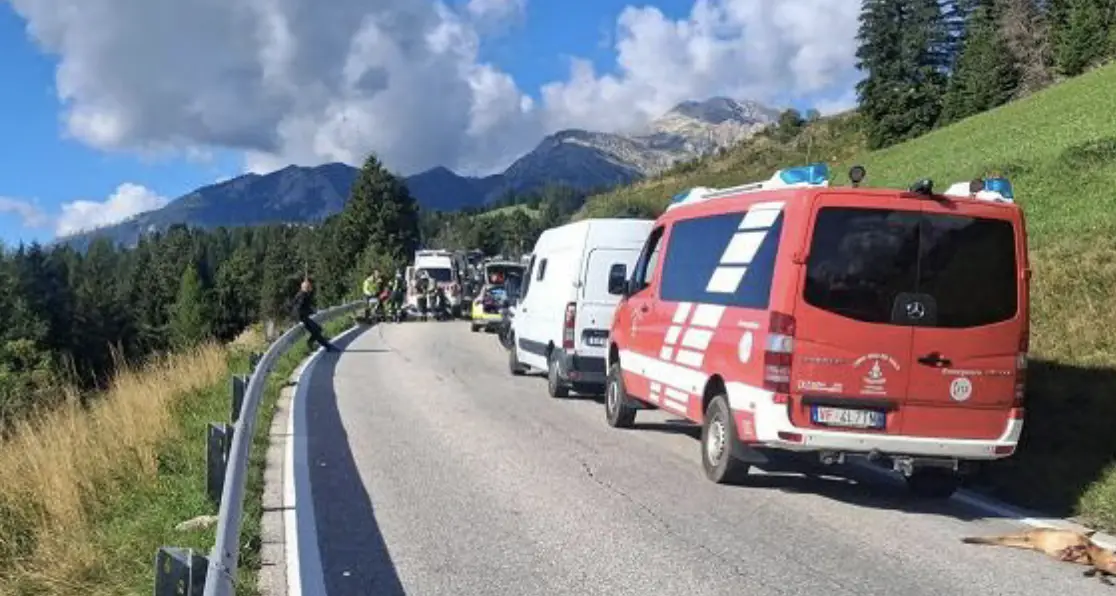 Capriolo attraversa la strada, motociclista sbalzato contro il guardrail