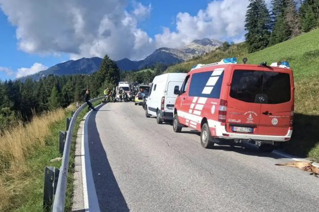 Capriolo attraversa la strada, motociclista sbalzato contro il guardrail