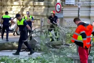 Cade un ramo, tre persone ferite