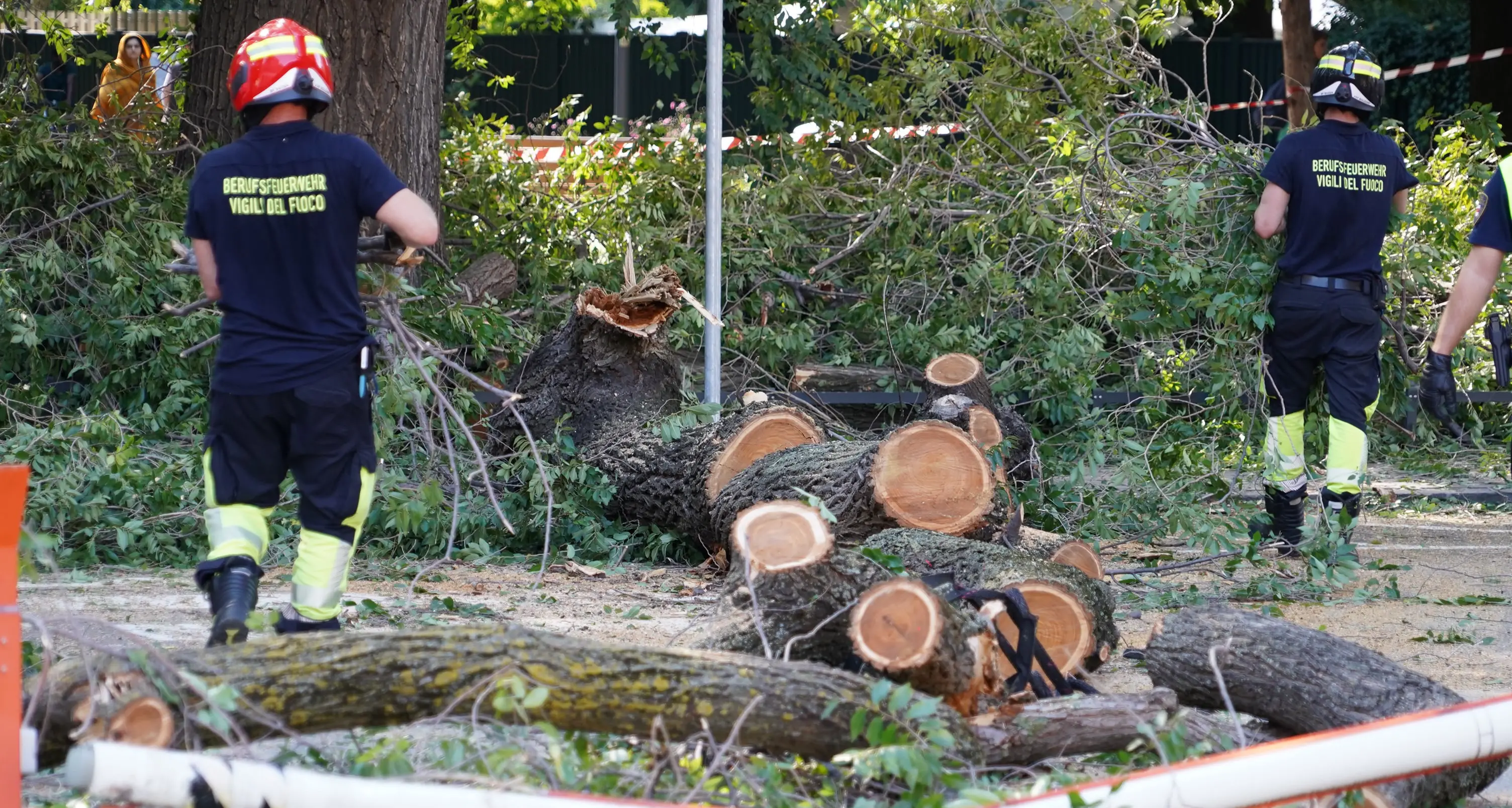 Paura al parco Berloffa, un ramo cade e colpisce tre turisti