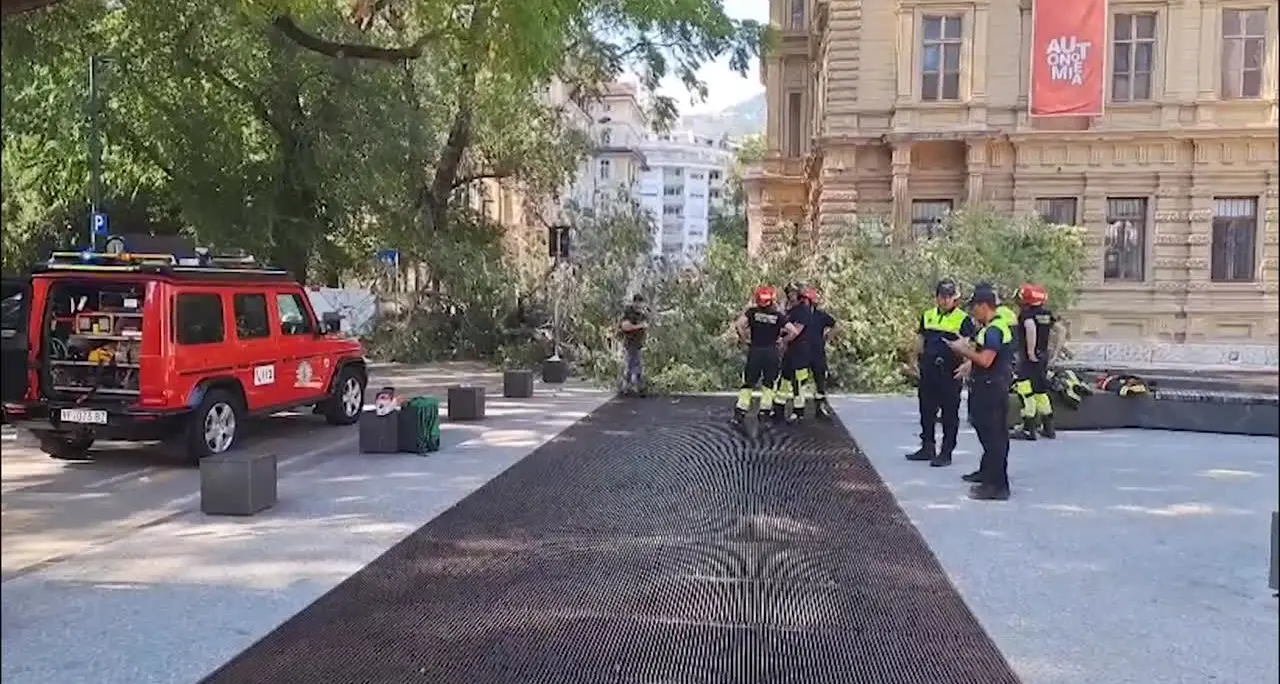 A Bolzano un ramo si stacca da un albero e travolge tre persone