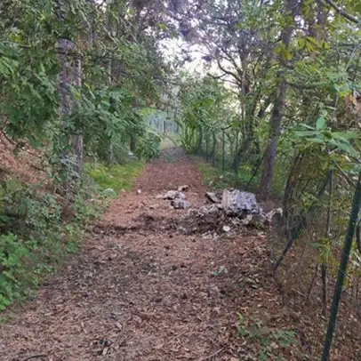Arco, si stacca una lastra dal monte Colodri: massi a pochi metri da una casa