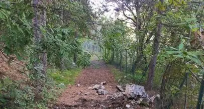 Arco, si stacca una lastra dal monte Colodri: massi a pochi metri da una casa