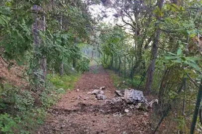 Arco, si stacca una lastra dal monte Colodri: massi a pochi metri da una casa