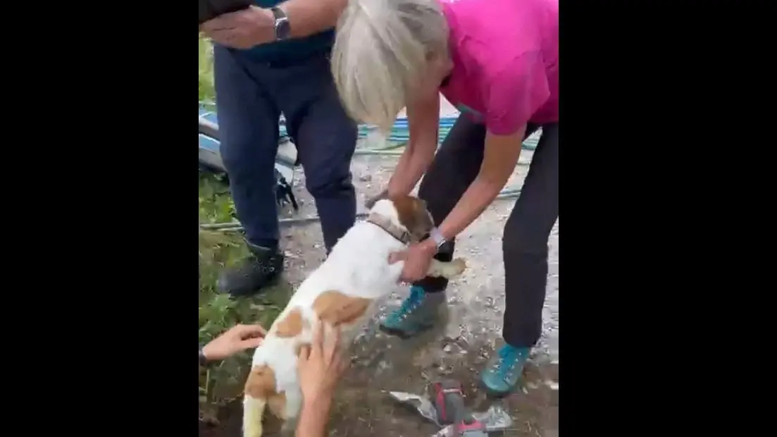 Roki riemerge da un tubo di 90 metri. L'esultanza della padrona
