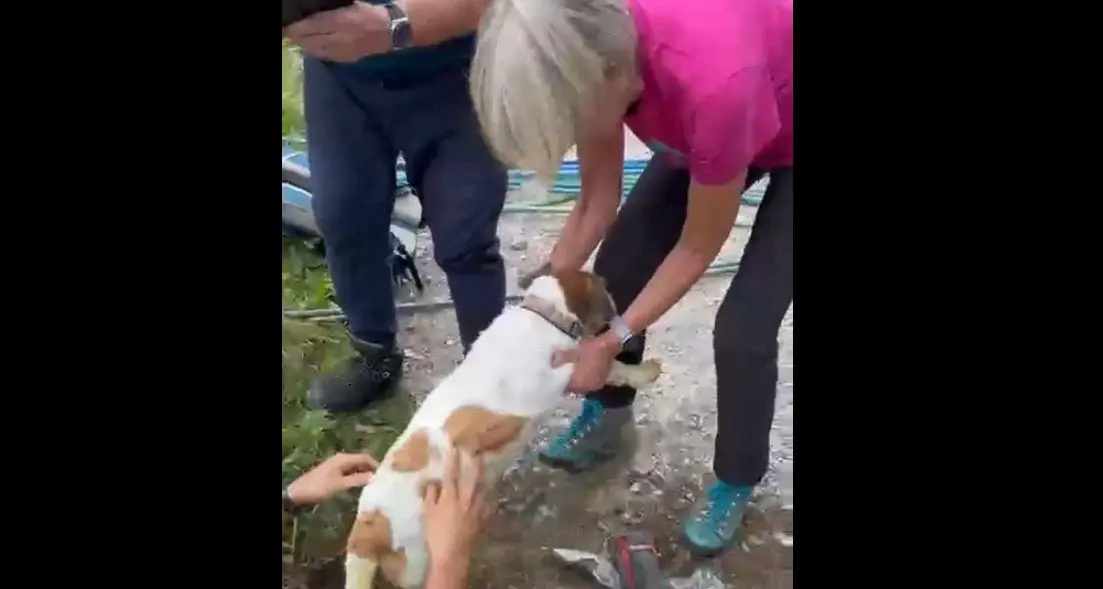 Roki riemerge da un tubo di 90 metri. L'esultanza della padrona