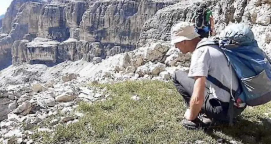Il caldo fa sparire i fiori: «La flora alpina costretta a salire»