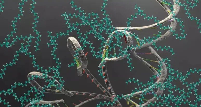 Dall'Rna una nuova speranza per molte malattie genetiche