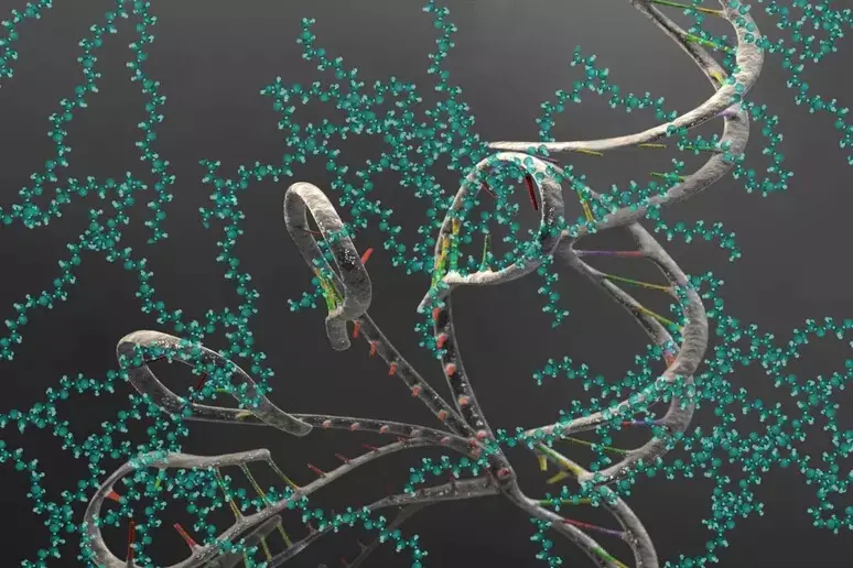 Dall'Rna una nuova speranza per molte malattie genetiche