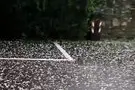 Violenta grandinata a Bressanone e Varna