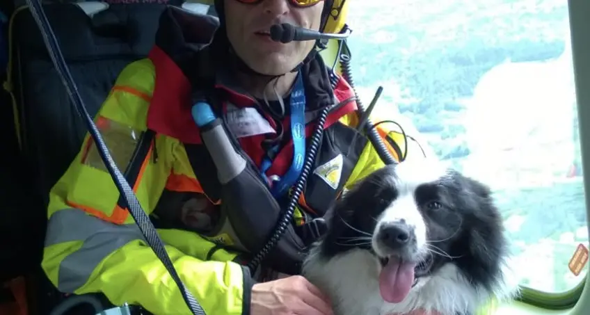 Addio Laspo, compagno fedele fino alla fine: il Soccorso Alpino piange il suo eroe