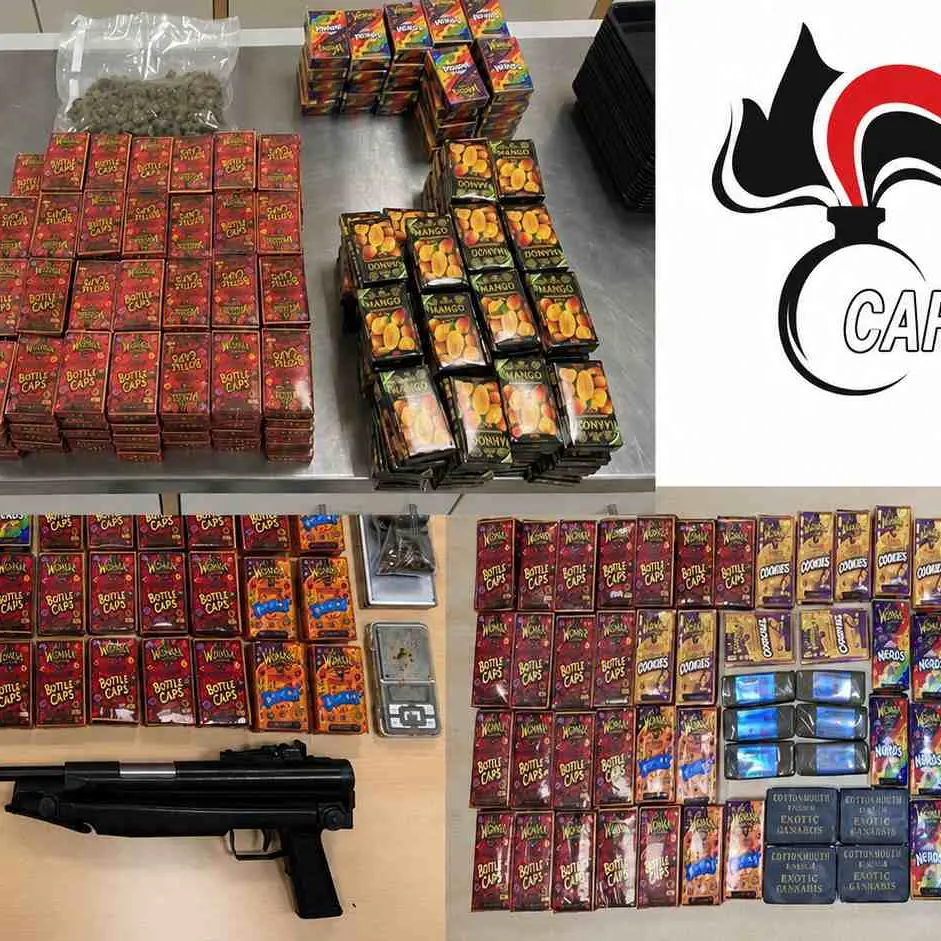 Sequestro record di droga a Bolzano: 43 chili e quattro arresti