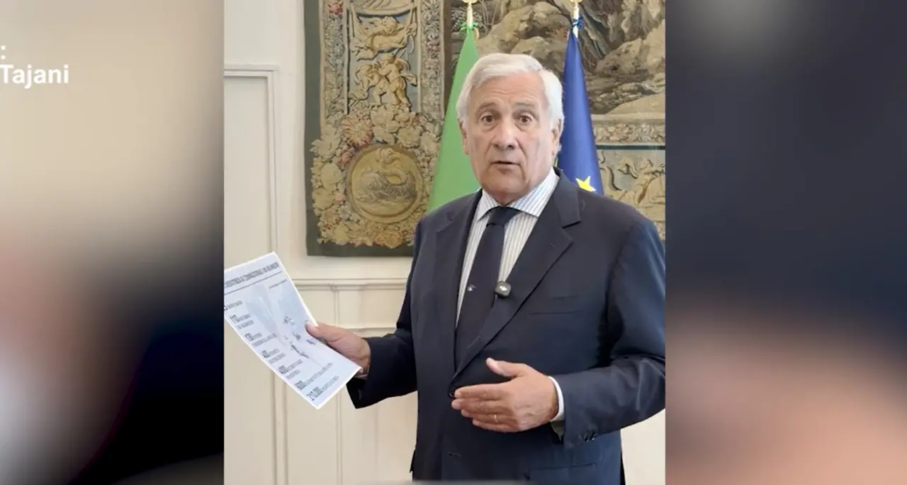 Tajani: \"Nelle prossime ore il rientro del bimbo in coma in Egitto\"