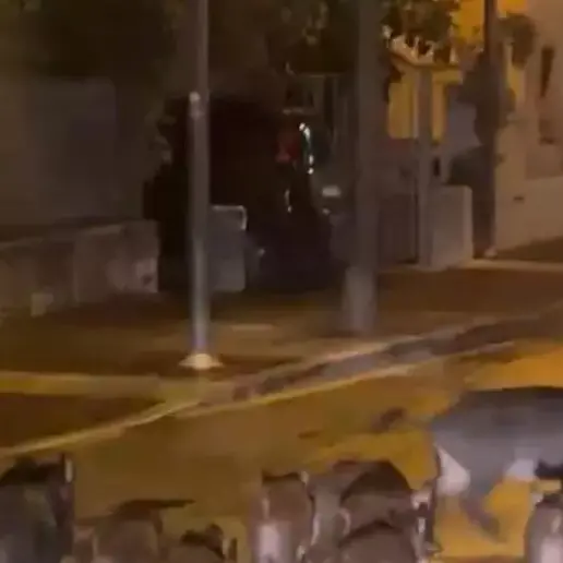 Garda, catturato un branco di 18 cinghiali: «Mai così tanti in un intervento»